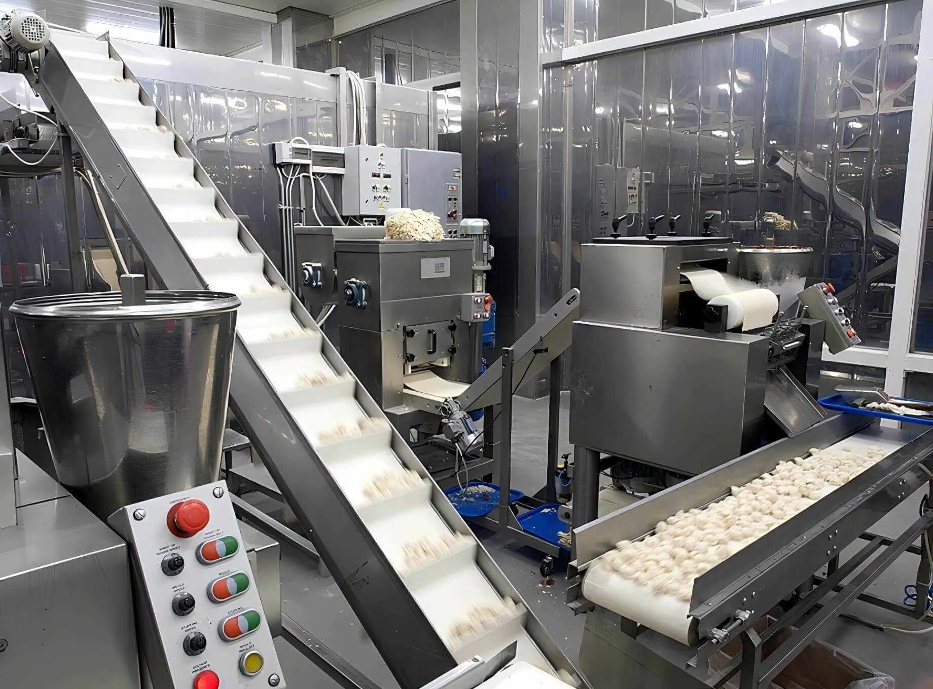 جسيمات الطعام والأدوية